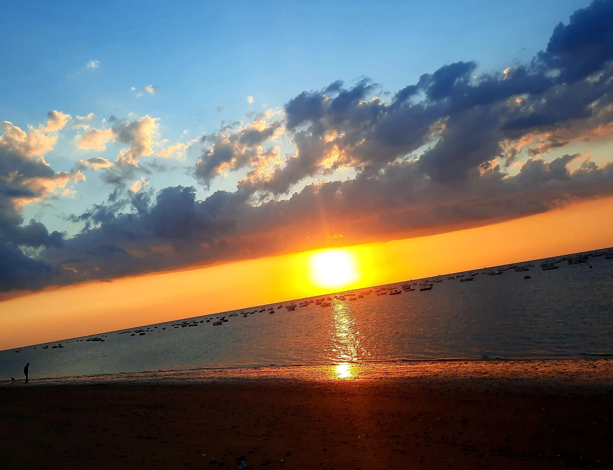 Andalucía Journey - Highlights