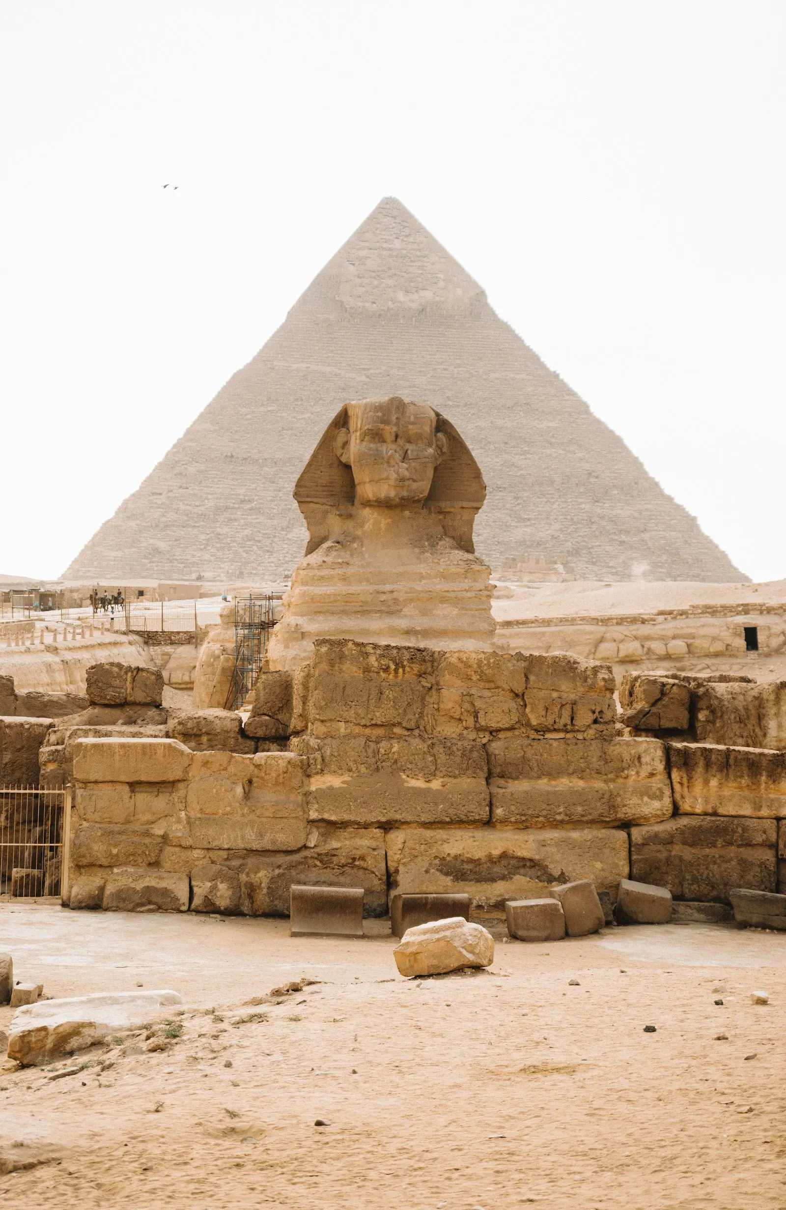 Ancient Egyptian temple stone columns