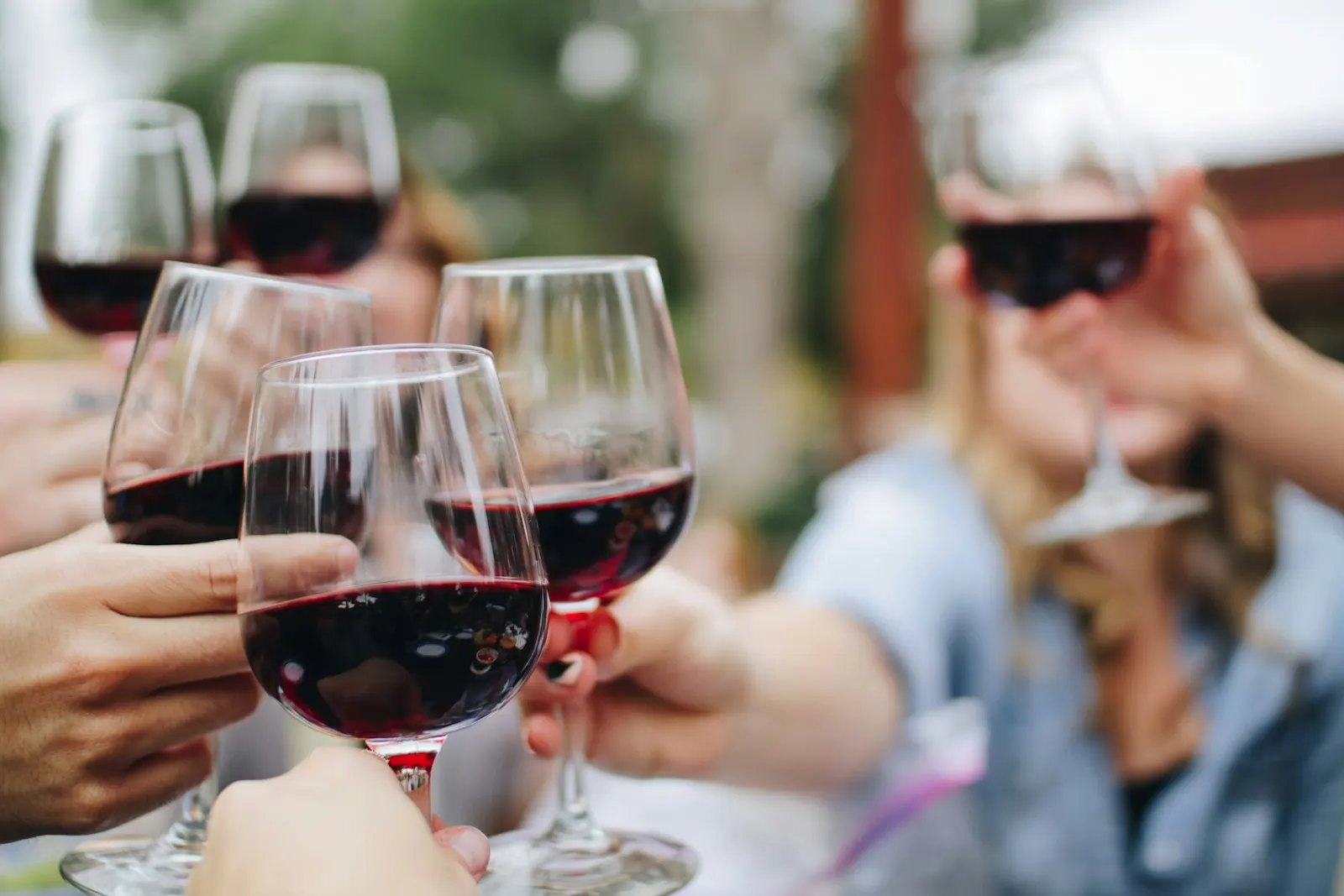 Wine tasting in a private cellar